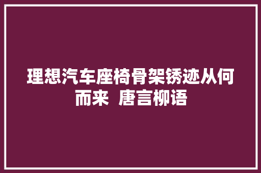 理想汽车座椅骨架锈迹从何而来  唐言柳语