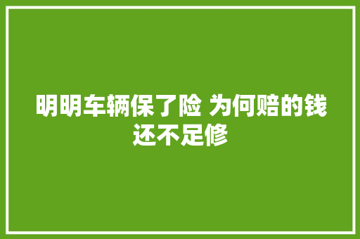 明明车辆保了险 为何赔的钱还不足修 汽车知识