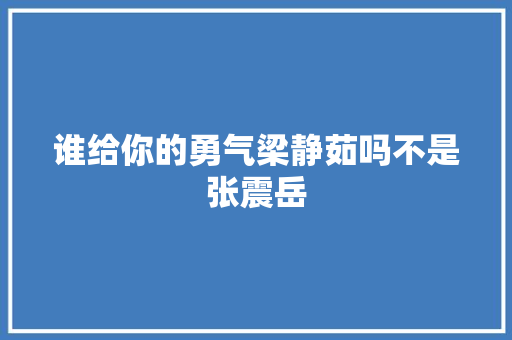 谁给你的勇气梁静茹吗不是张震岳