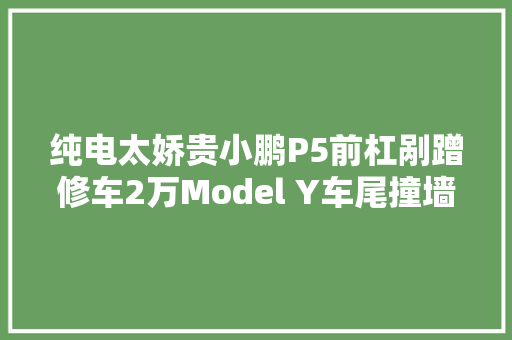 纯电太娇贵小鹏P5前杠剐蹭修车2万Model Y车尾撞墙就要报废