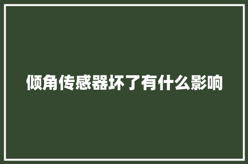 倾角传感器坏了有什么影响