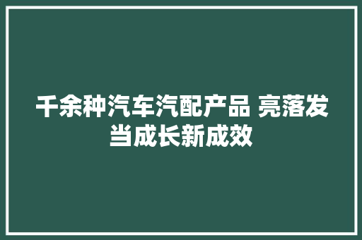 千余种汽车汽配产品 亮落发当成长新成效