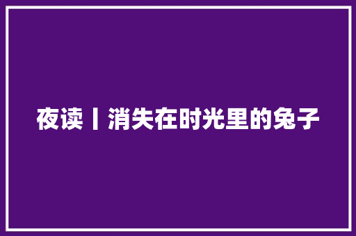 夜读丨消失在时光里的兔子