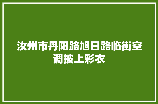 汝州市丹阳路旭日路临街空调披上彩衣