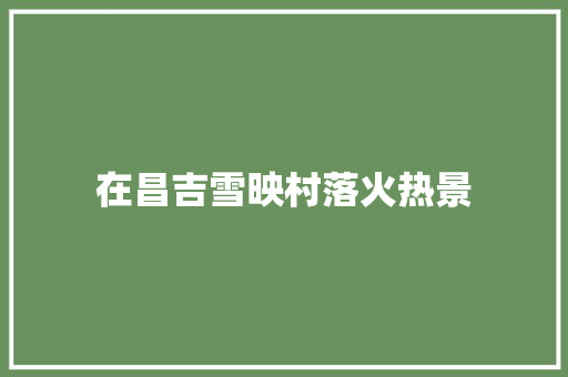 在昌吉雪映村落火热景 汽车知识