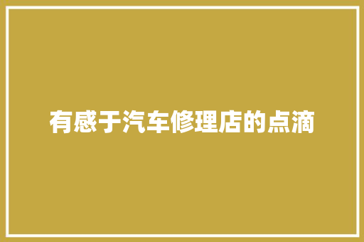 有感于汽车修理店的点滴