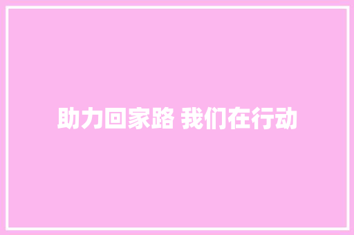 助力回家路 我们在行动