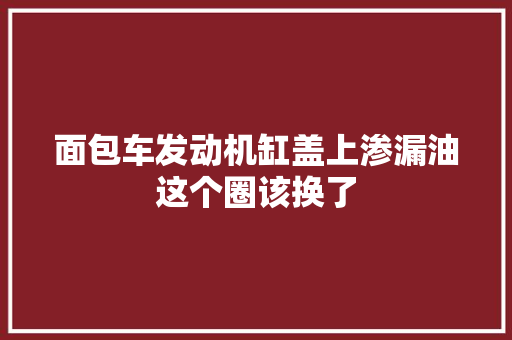 面包车发动机缸盖上渗漏油这个圈该换了