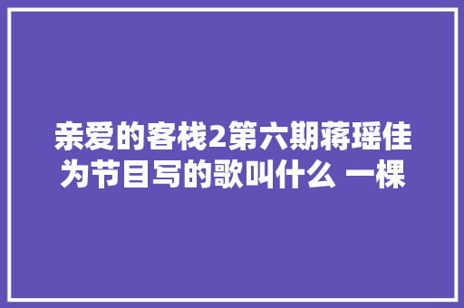 亲爱的客栈2第六期蒋瑶佳为节目写的歌叫什么 一棵树歌词