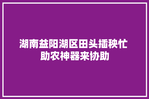 湖南益阳湖区田头插秧忙 助农神器来协助