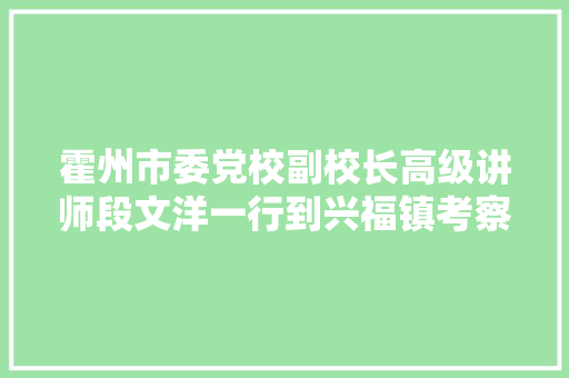 霍州市委党校副校长高级讲师段文洋一行到兴福镇考察交流
