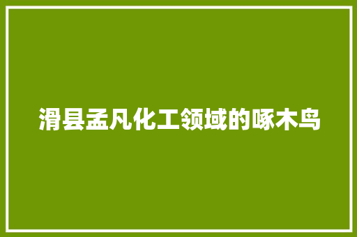 滑县孟凡化工领域的啄木鸟