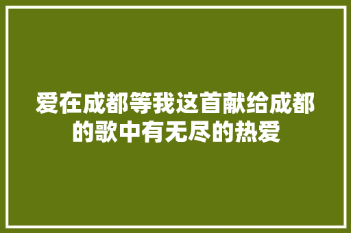 爱在成都等我这首献给成都的歌中有无尽的热爱