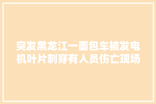 突发黑龙江一面包车被发电机叶片刺穿有人员伤亡现场曝光