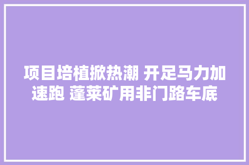 项目培植掀热潮 开足马力加速跑 蓬莱矿用非门路车底盘件分娩项目施工进展顺利