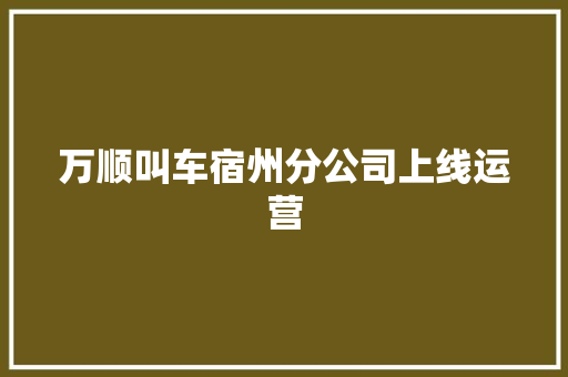 万顺叫车宿州分公司上线运营
