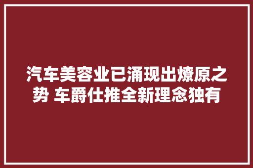 汽车美容业已涌现出燎原之势 车爵仕推全新理念独有鳌头