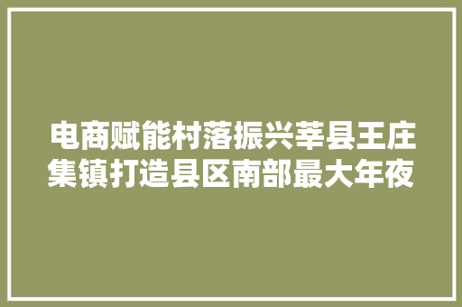 电商赋能村落振兴莘县王庄集镇打造县区南部最大年夜的仓储物流中央