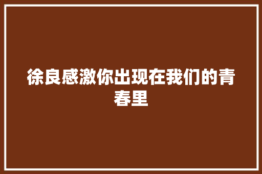 徐良感激你出现在我们的青春里 休闲娱乐