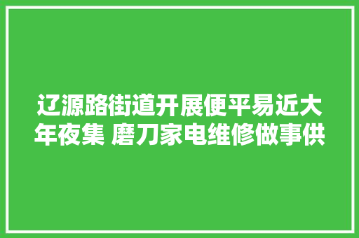 辽源路街道开展便平易近大年夜集 磨刀家电维修做事供不应求