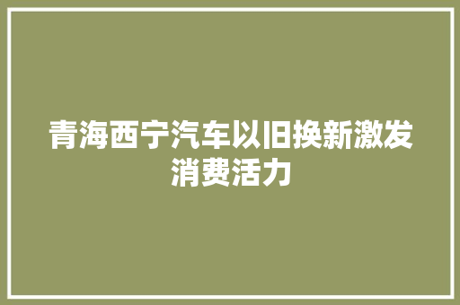 青海西宁汽车以旧换新激发消费活力
