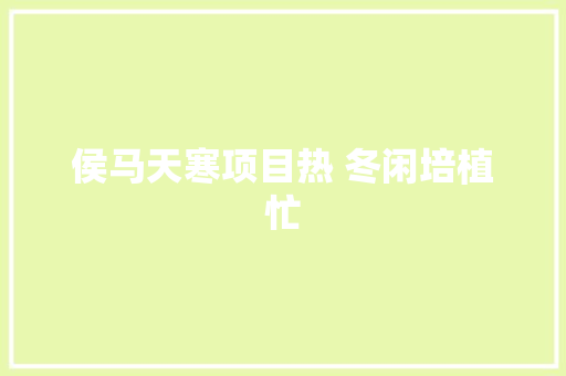 侯马天寒项目热 冬闲培植忙