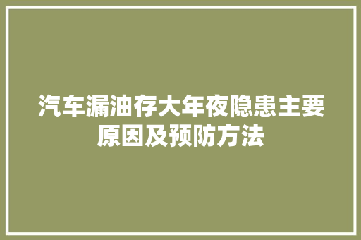 汽车漏油存大年夜隐患主要原因及预防方法