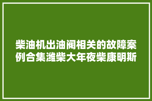 柴油机出油阀相关的故障案例合集潍柴大年夜柴康明斯发动机
