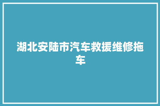 湖北安陆市汽车救援维修拖车