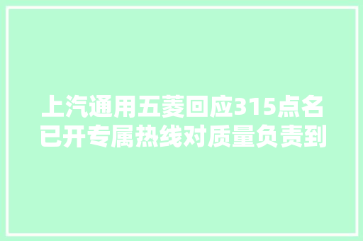 上汽通用五菱回应315点名已开专属热线对质量负责到底