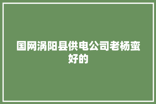 国网涡阳县供电公司老杨蛮好的