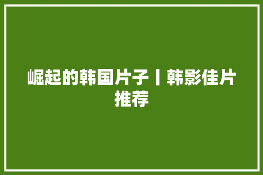 崛起的韩国片子丨韩影佳片推荐