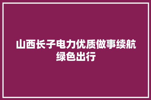 山西长子电力优质做事续航绿色出行