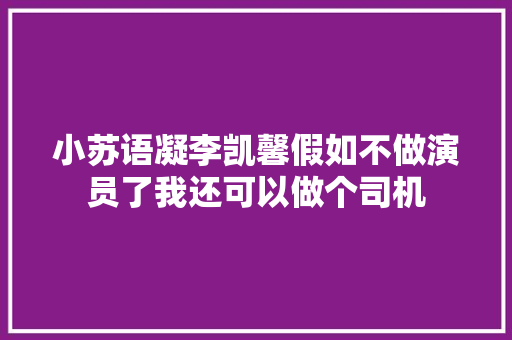 小苏语凝李凯馨假如不做演员了我还可以做个司机