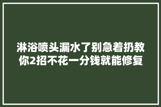 淋浴喷头漏水了别急着扔教你2招不花一分钱就能修复实用