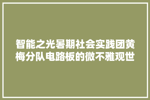 智能之光暑期社会实践团黄梅分队电路板的微不雅观世界