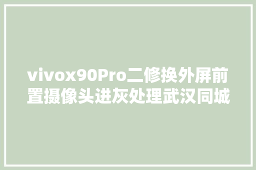 vivox90Pro二修换外屏前置摄像头进灰处理武汉同城