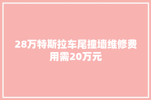 28万特斯拉车尾撞墙维修费用需20万元