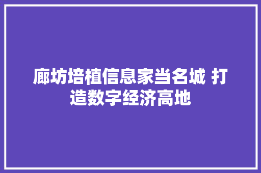 廊坊培植信息家当名城 打造数字经济高地