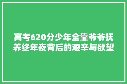 高考620分少年全靠爷爷抚养终年夜背后的艰辛与欲望
