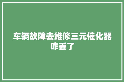 车辆故障去维修三元催化器咋丢了