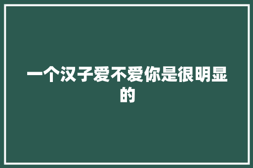 一个汉子爱不爱你是很明显的