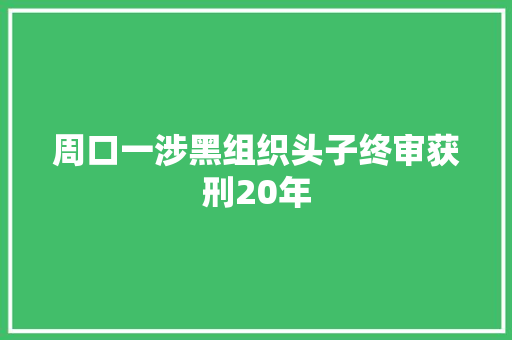 周口一涉黑组织头子终审获刑20年