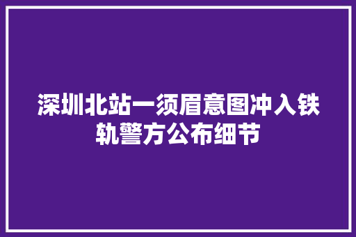 深圳北站一须眉意图冲入铁轨警方公布细节
