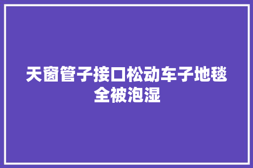 天窗管子接口松动车子地毯全被泡湿
