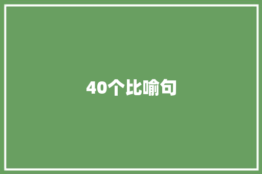 40个比喻句