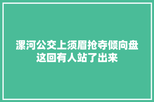 漯河公交上须眉抢夺倾向盘这回有人站了出来