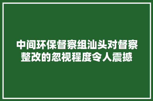 中间环保督察组汕头对督察整改的忽视程度令人震撼