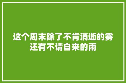 这个周末除了不肯消逝的雾还有不请自来的雨