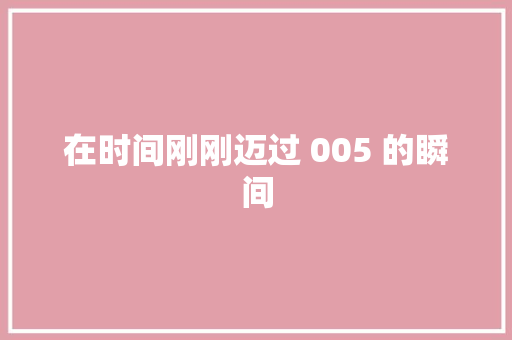 在时间刚刚迈过 005 的瞬间